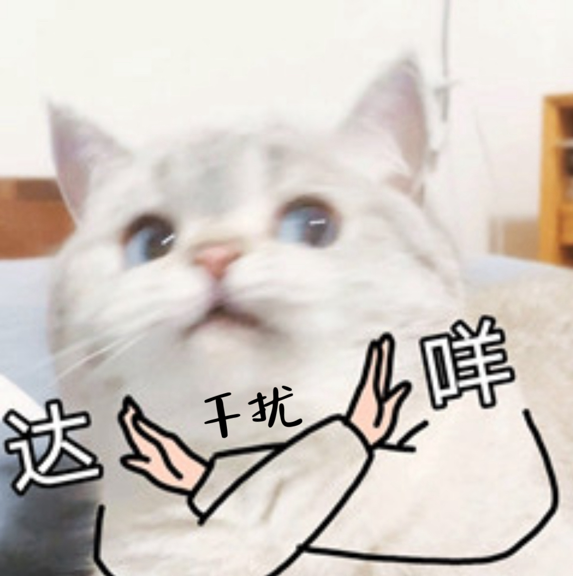 描述3